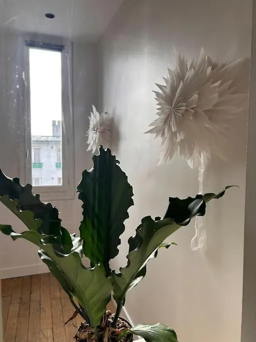 Un Fabuleux Decor Pour Un Chaleureux Appartement Paris Daire